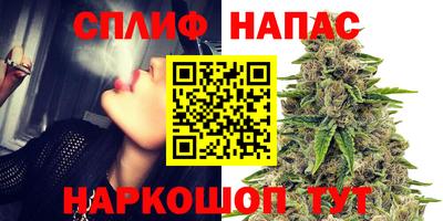 МДПВ Заволжье