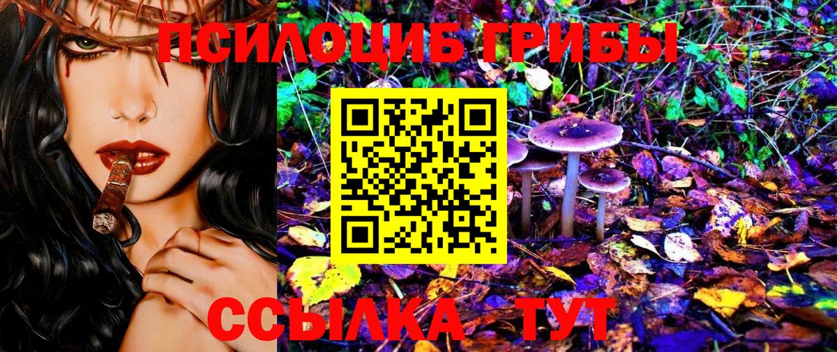 Псилоцибиновые грибы Psilocybine cubensis  Вход с VPN  Комсомольск-на-Амуре 
